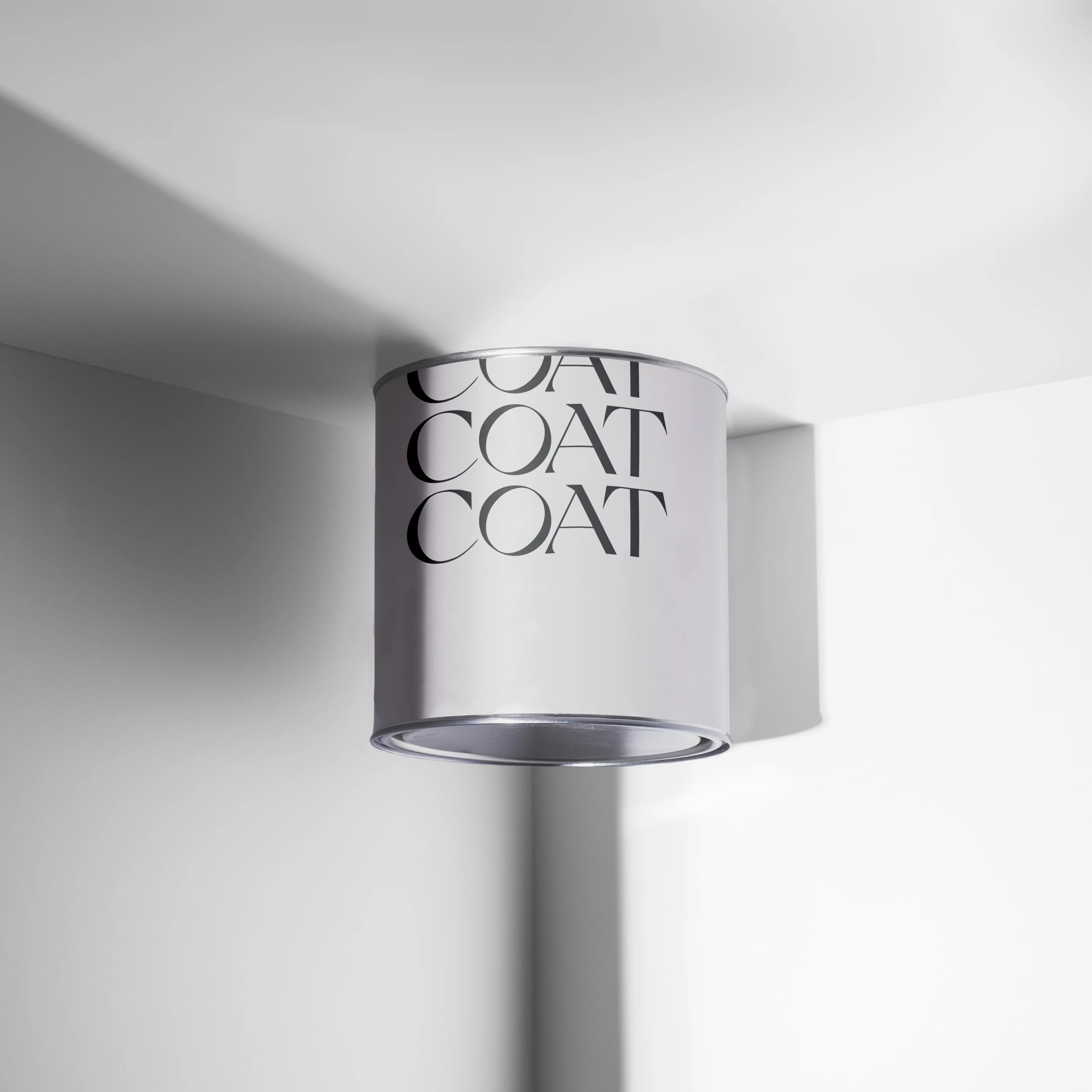Ceiling Paint
