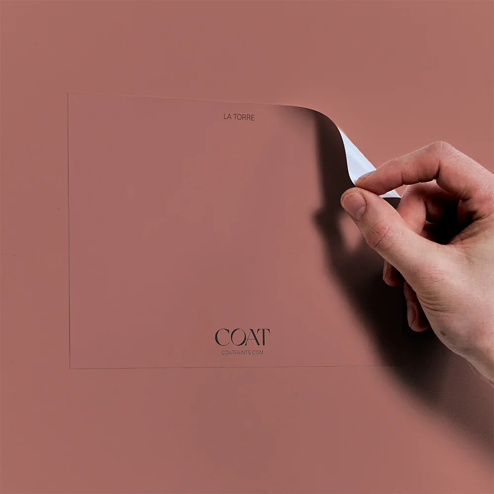2879-coat-collective-intro-pack-9.webp COAT Collective Intro Pack