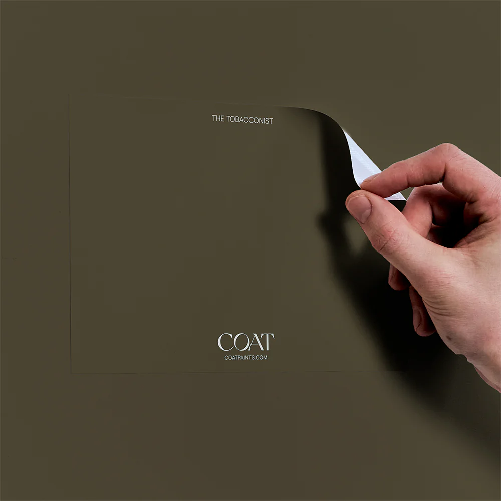 2922-dark-green-pack-13.webp Dark Green Pack