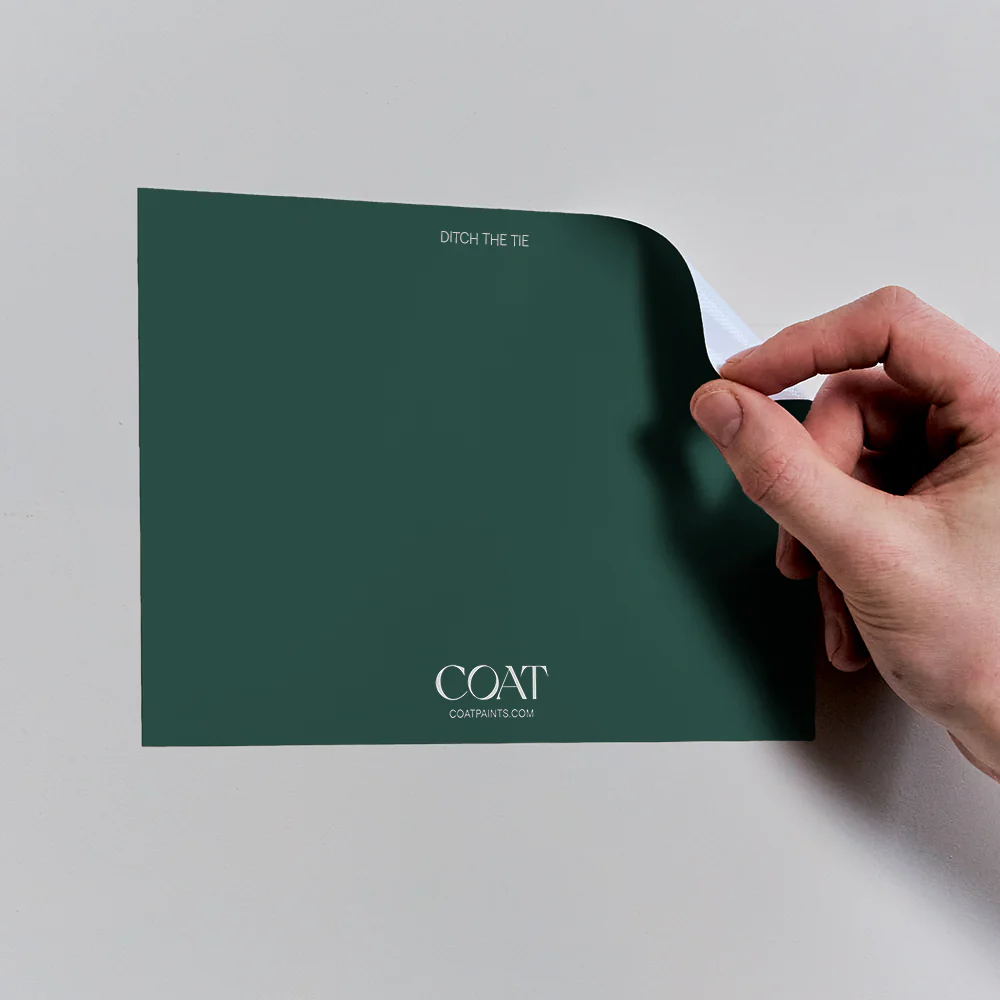 2922-dark-green-pack-7.webp Dark Green Pack