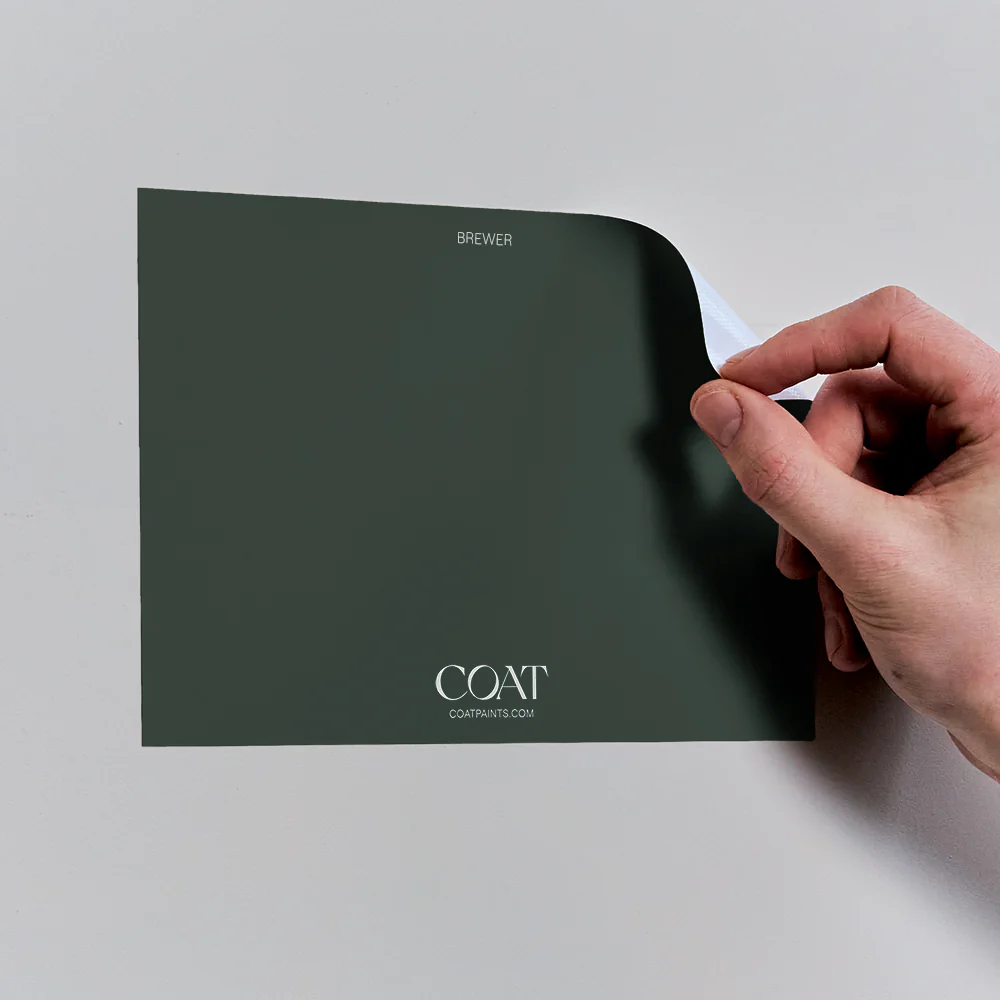 2922-dark-green-pack-8.webp Dark Green Pack
