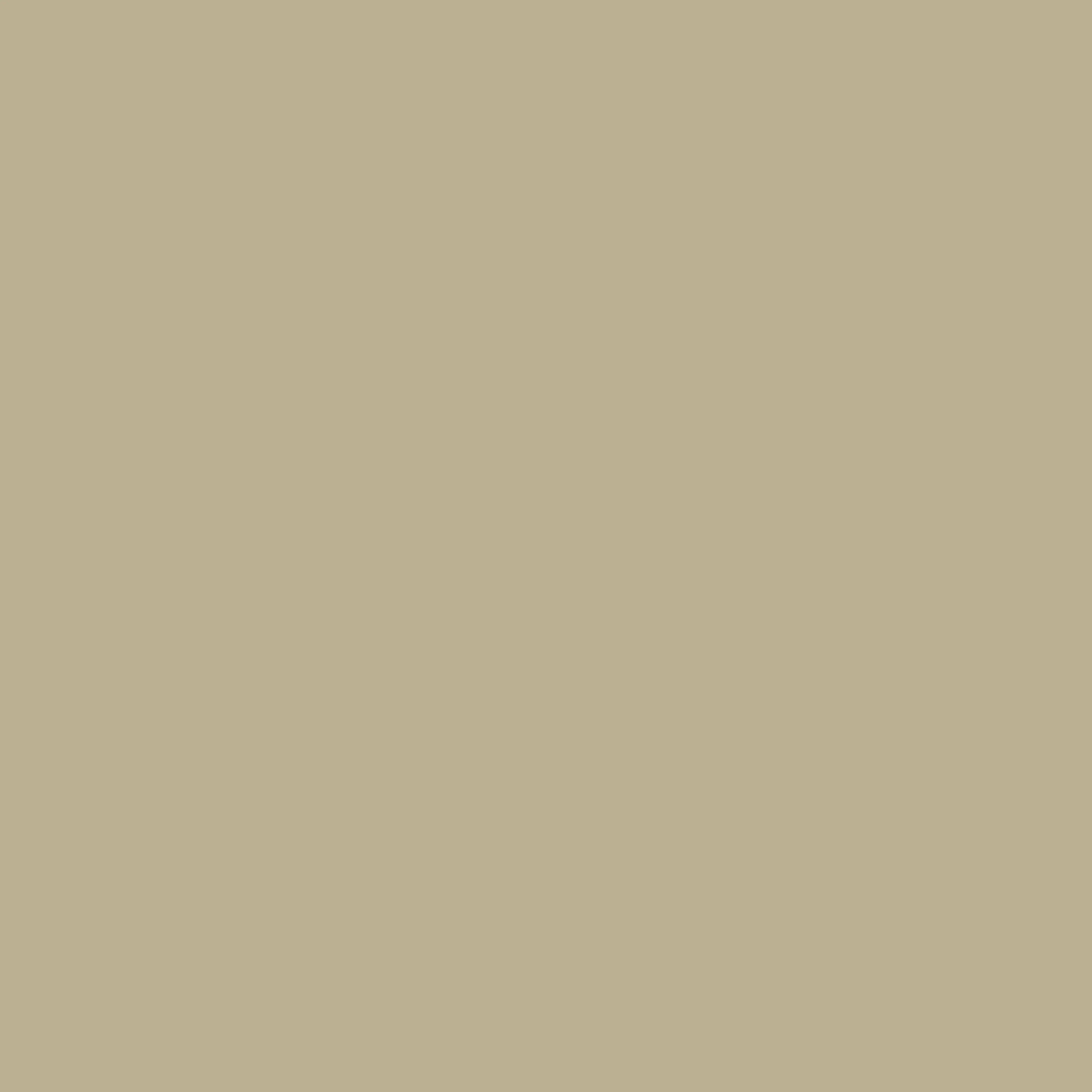 3837-ode-to-toad-5.webp Ode to Toad