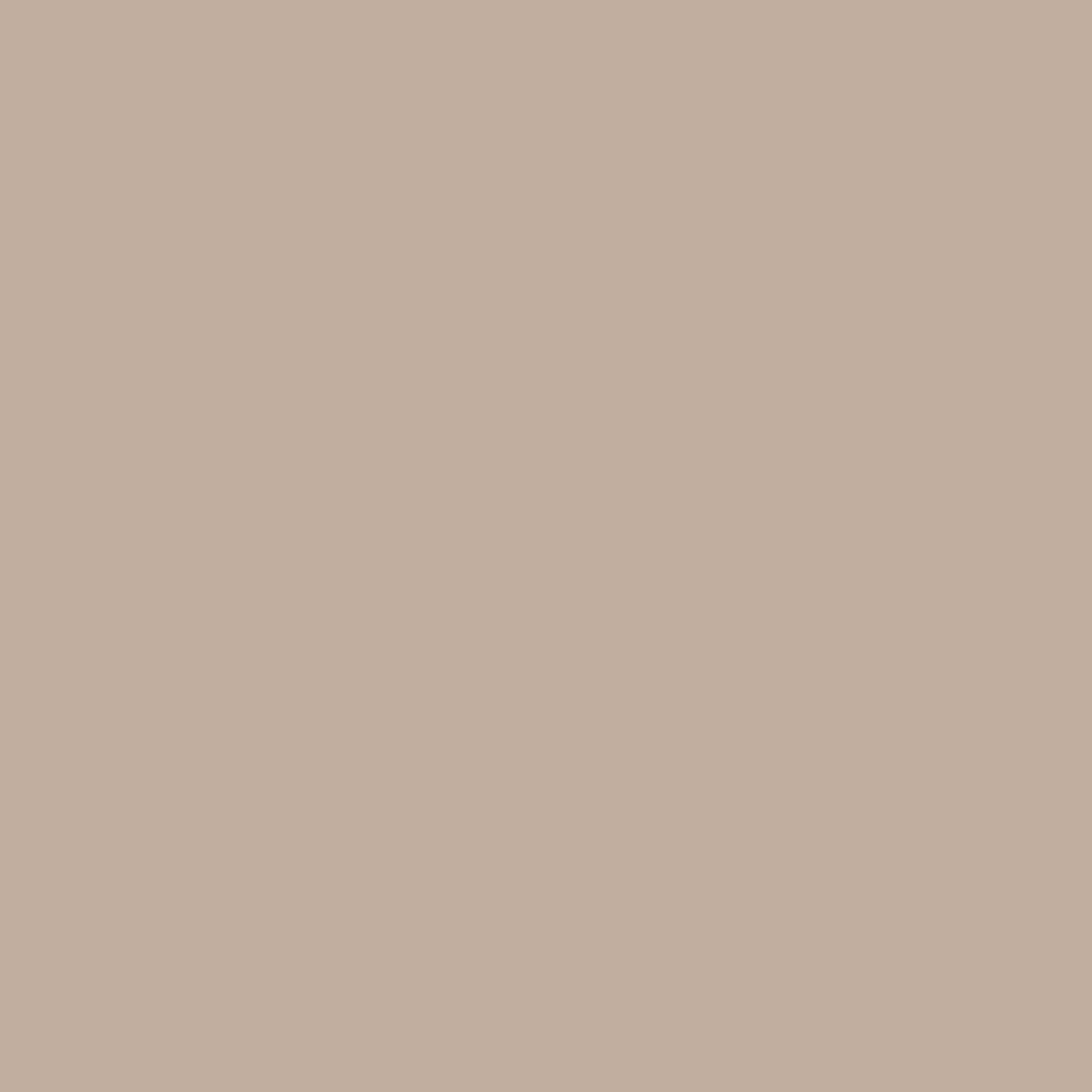 4091-rooted-12.webp Rooted